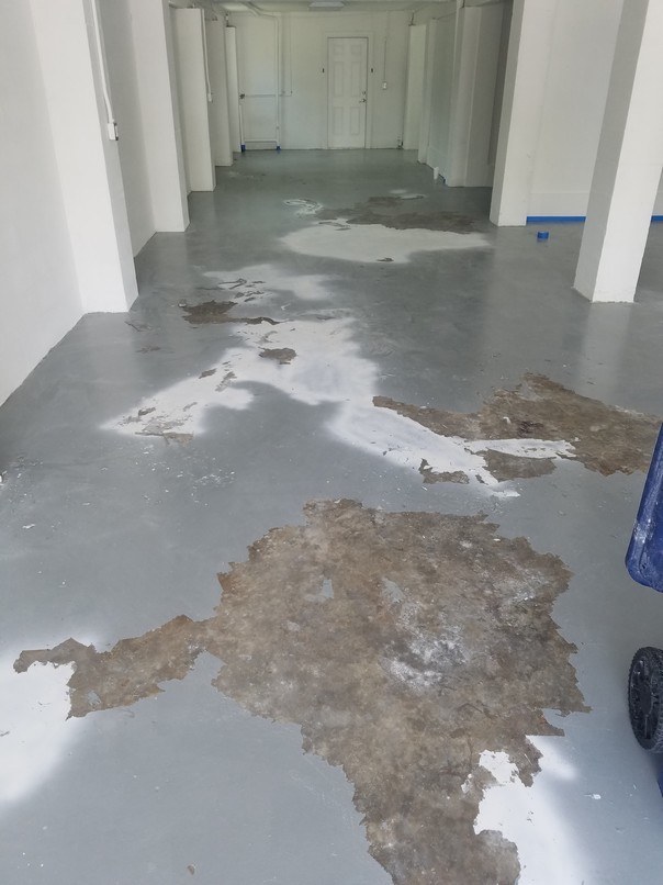 Completed epoxy and concrete coating project by Mr. Epoxy and Paint LLC